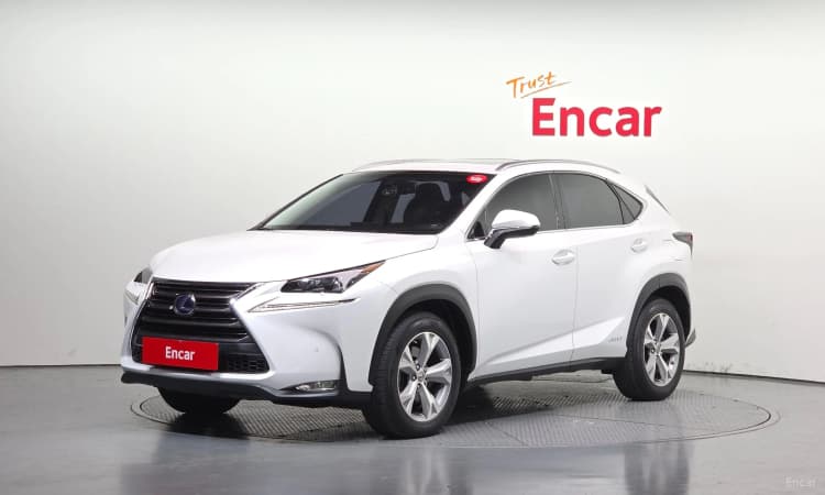 NX300h