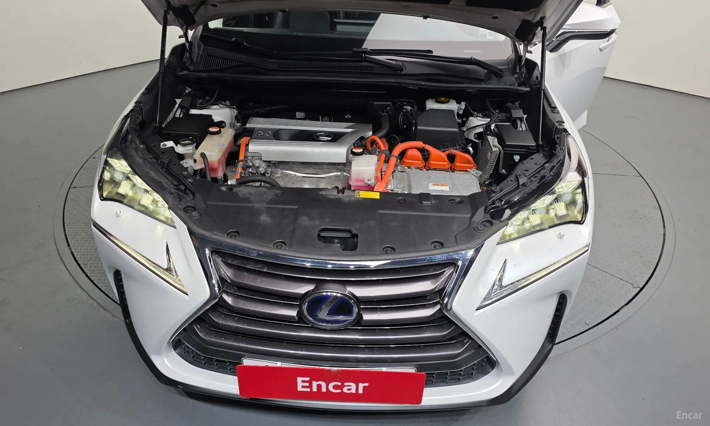 NX300h