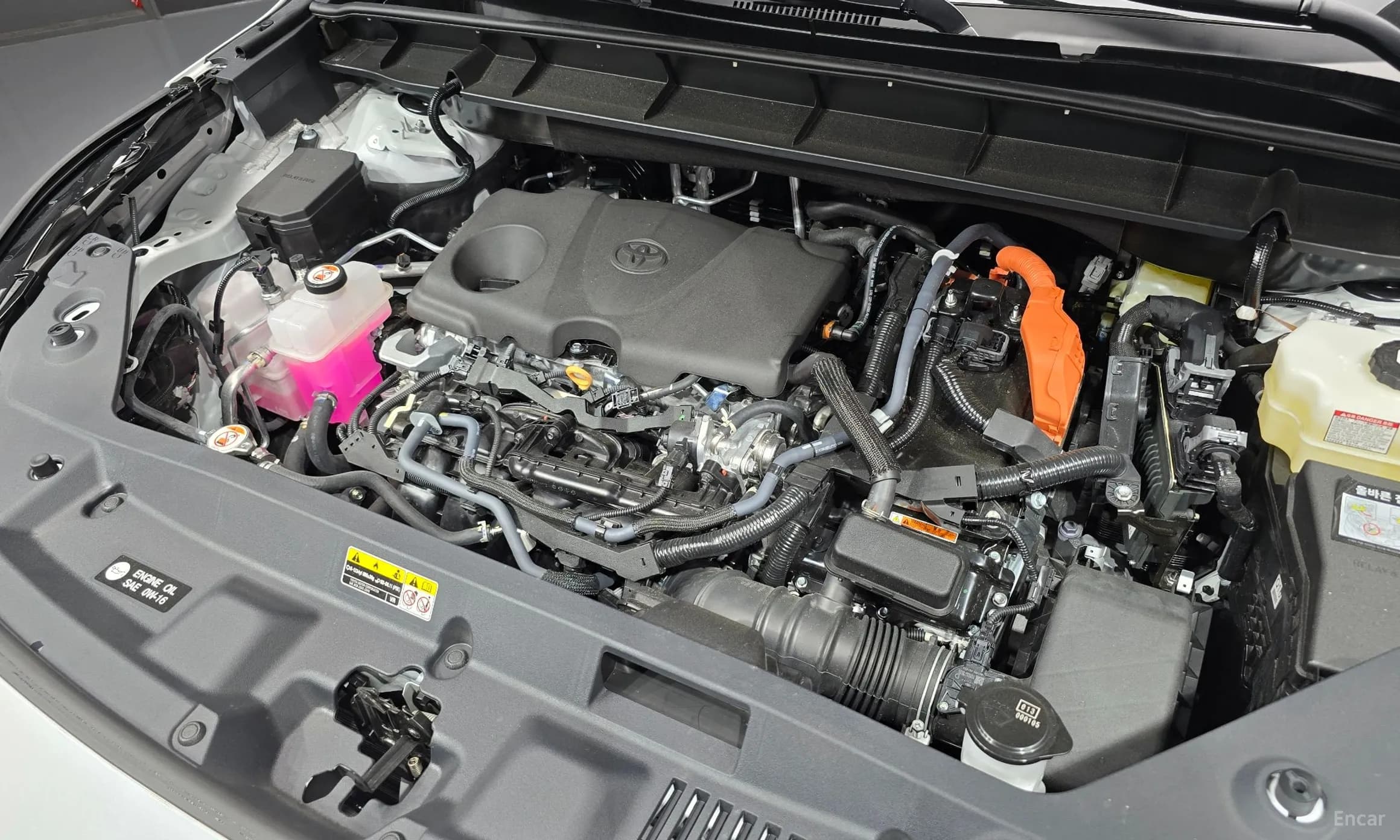 Highlander 4th generation