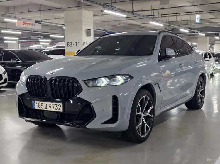 X6 (G06)