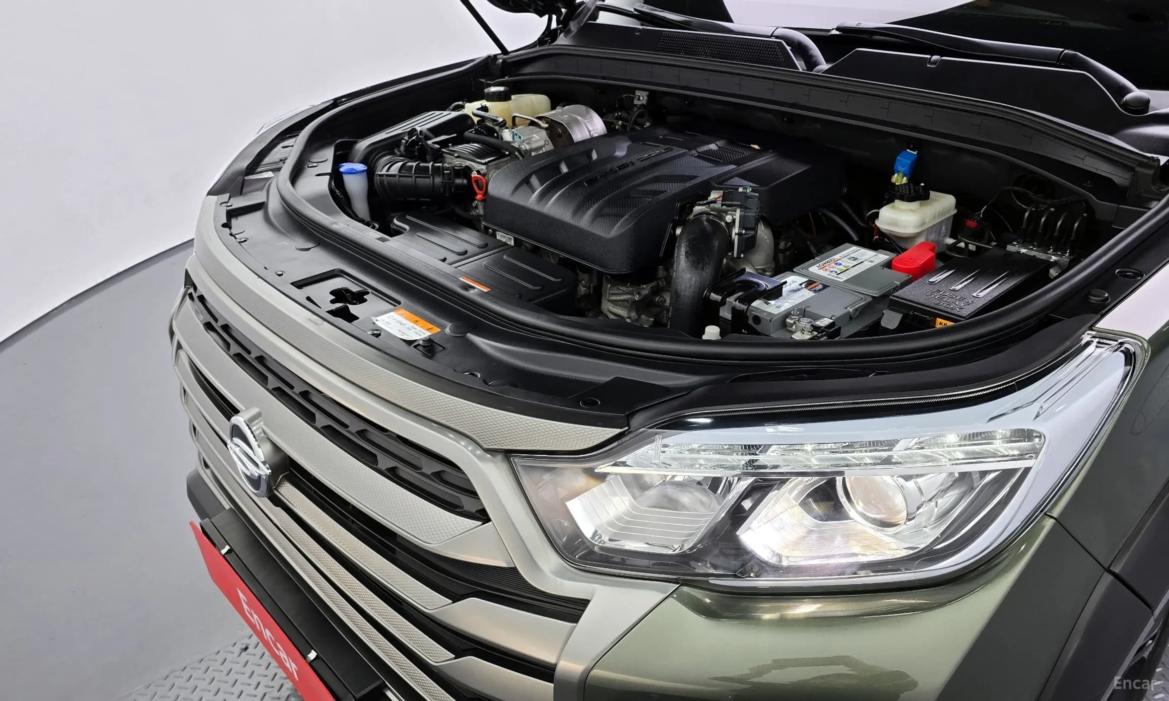 Rexton Sports