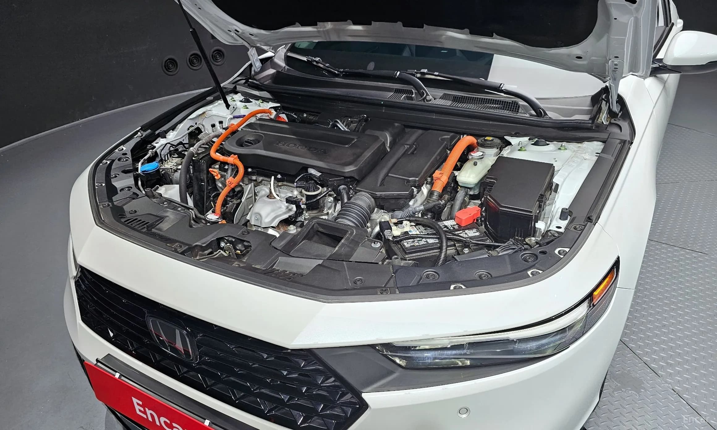 Accord 11th Generation