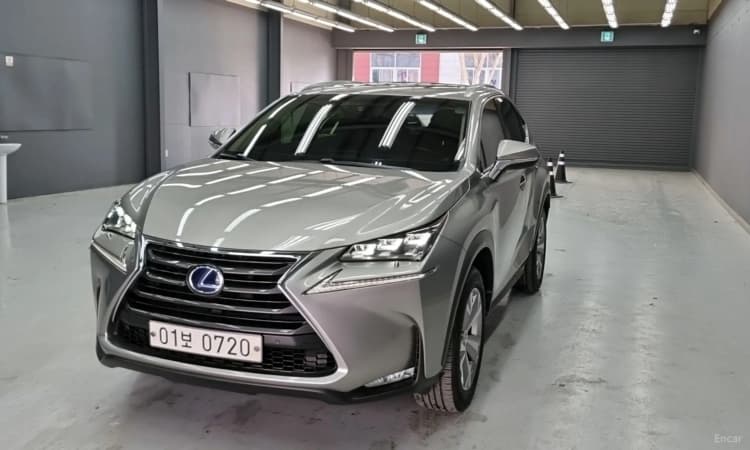 NX300h