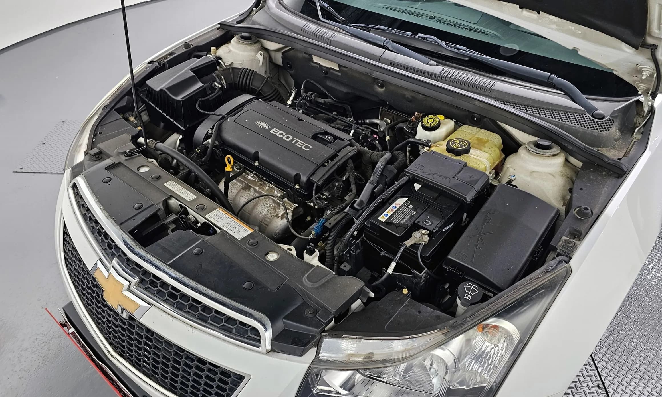 Cruze