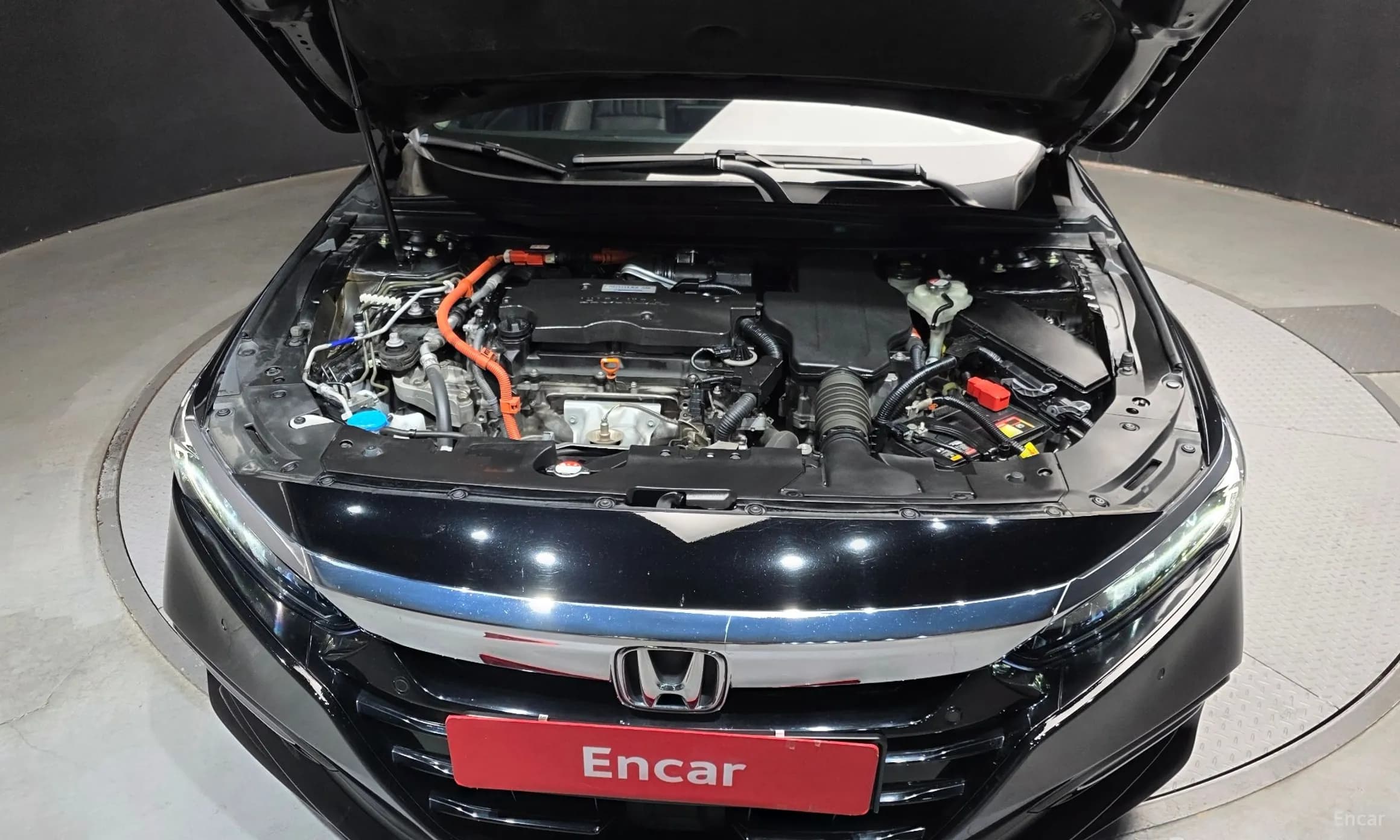 Accord 10th Generation