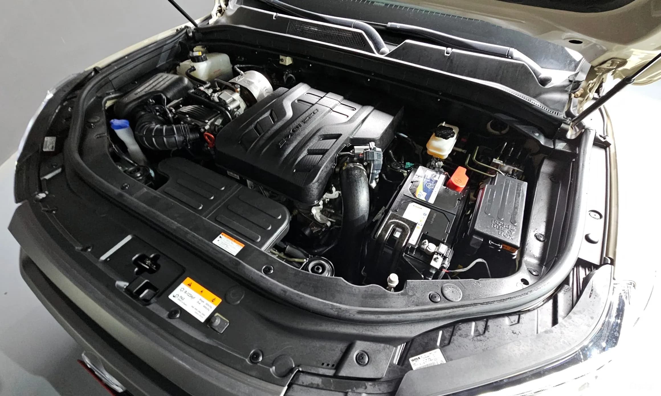 Rexton Sports