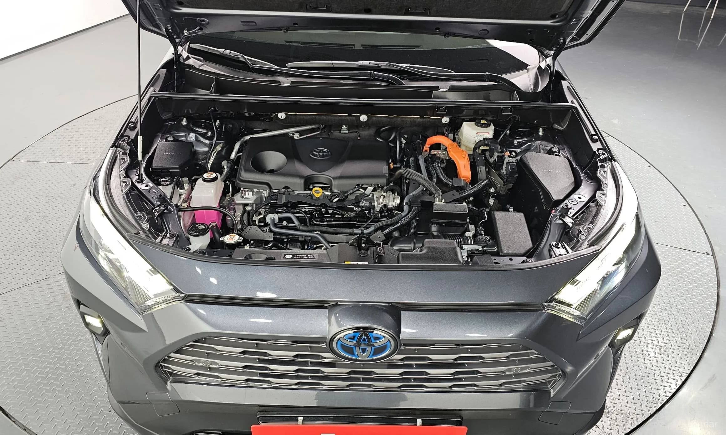 RAV4 5th Generation