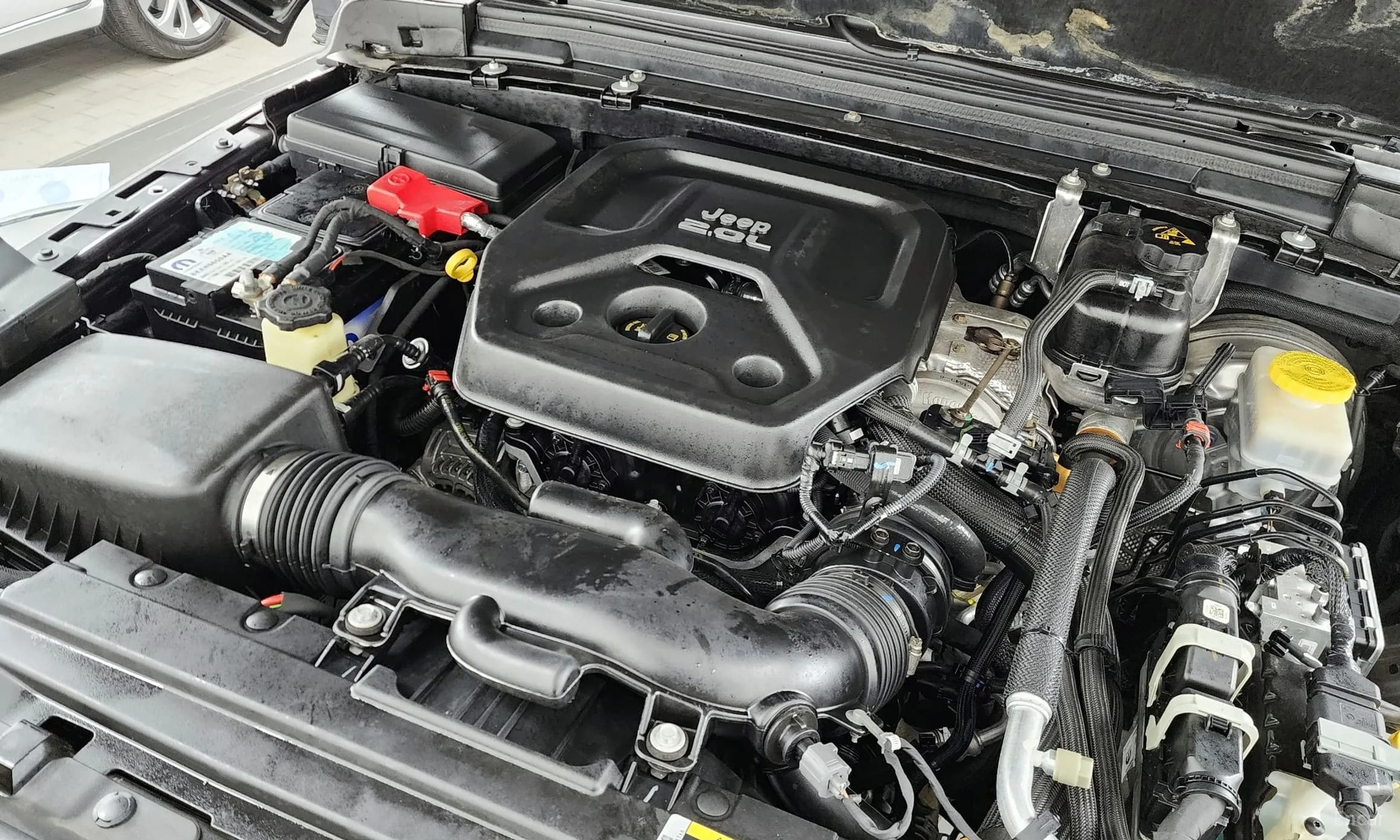 Wrangler (JL)