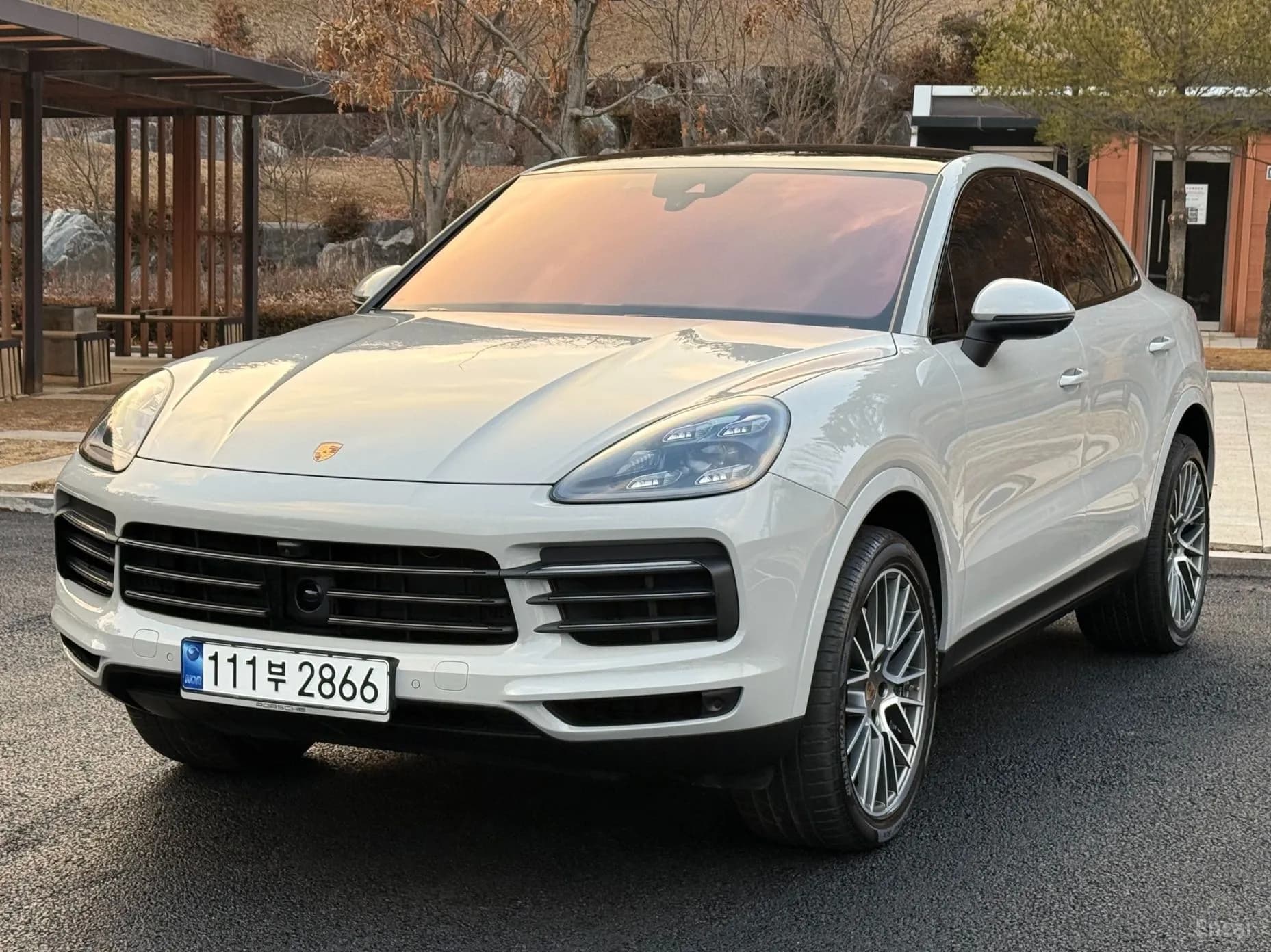 Cayenne (PO536)