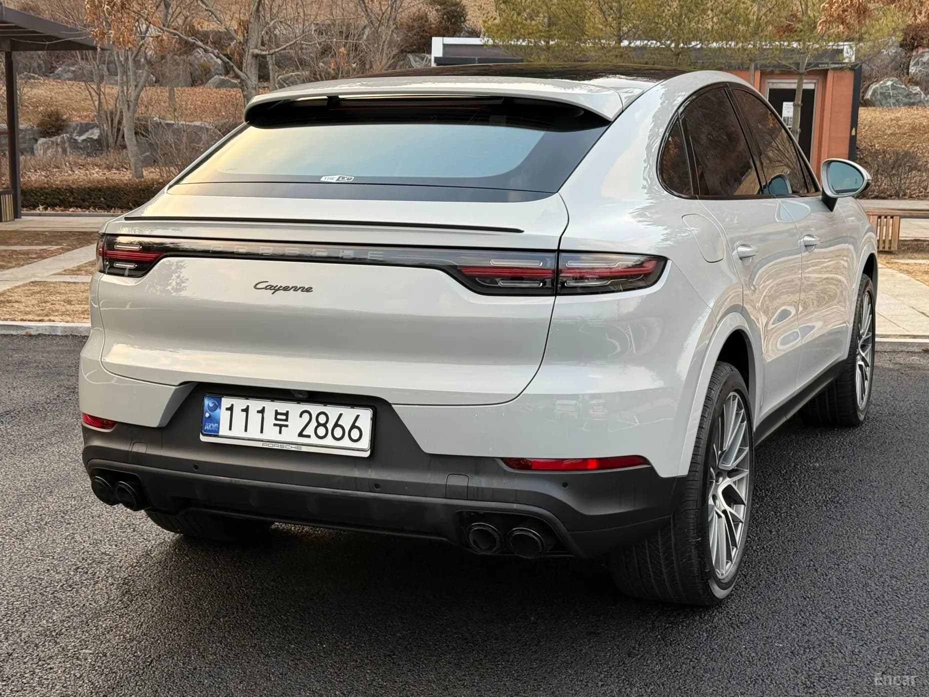 Cayenne (PO536)