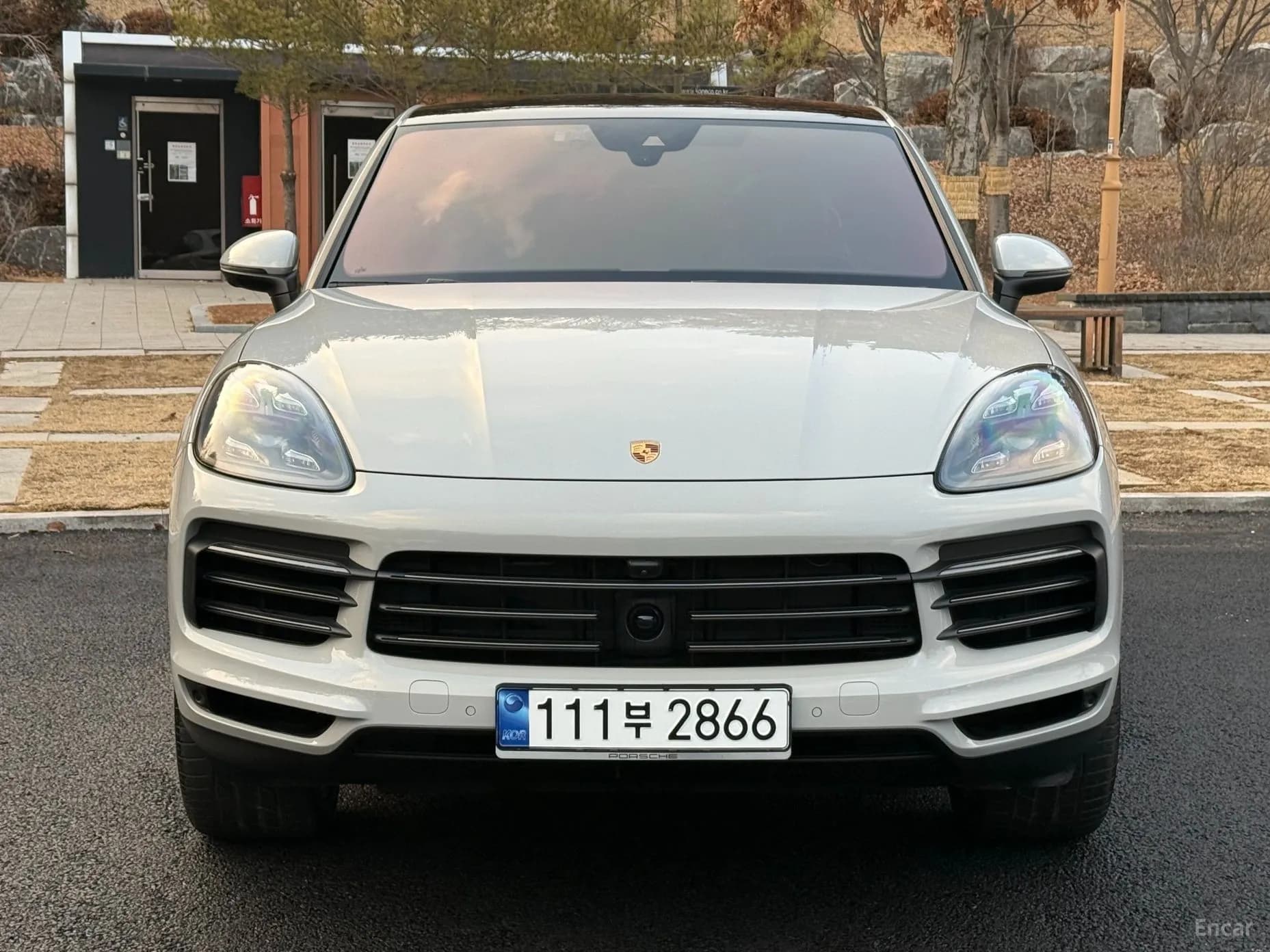 Cayenne (PO536)