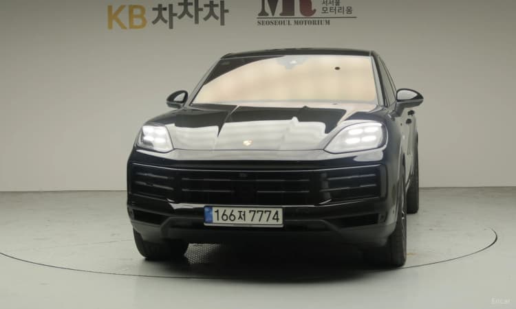 Cayenne (PO536)