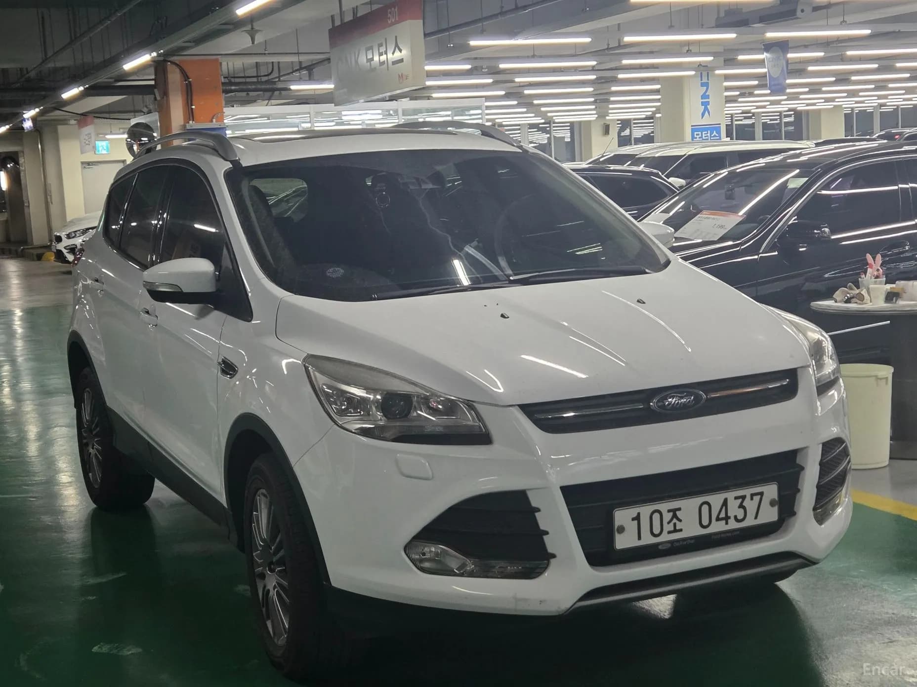 Cougar 2nd Generation