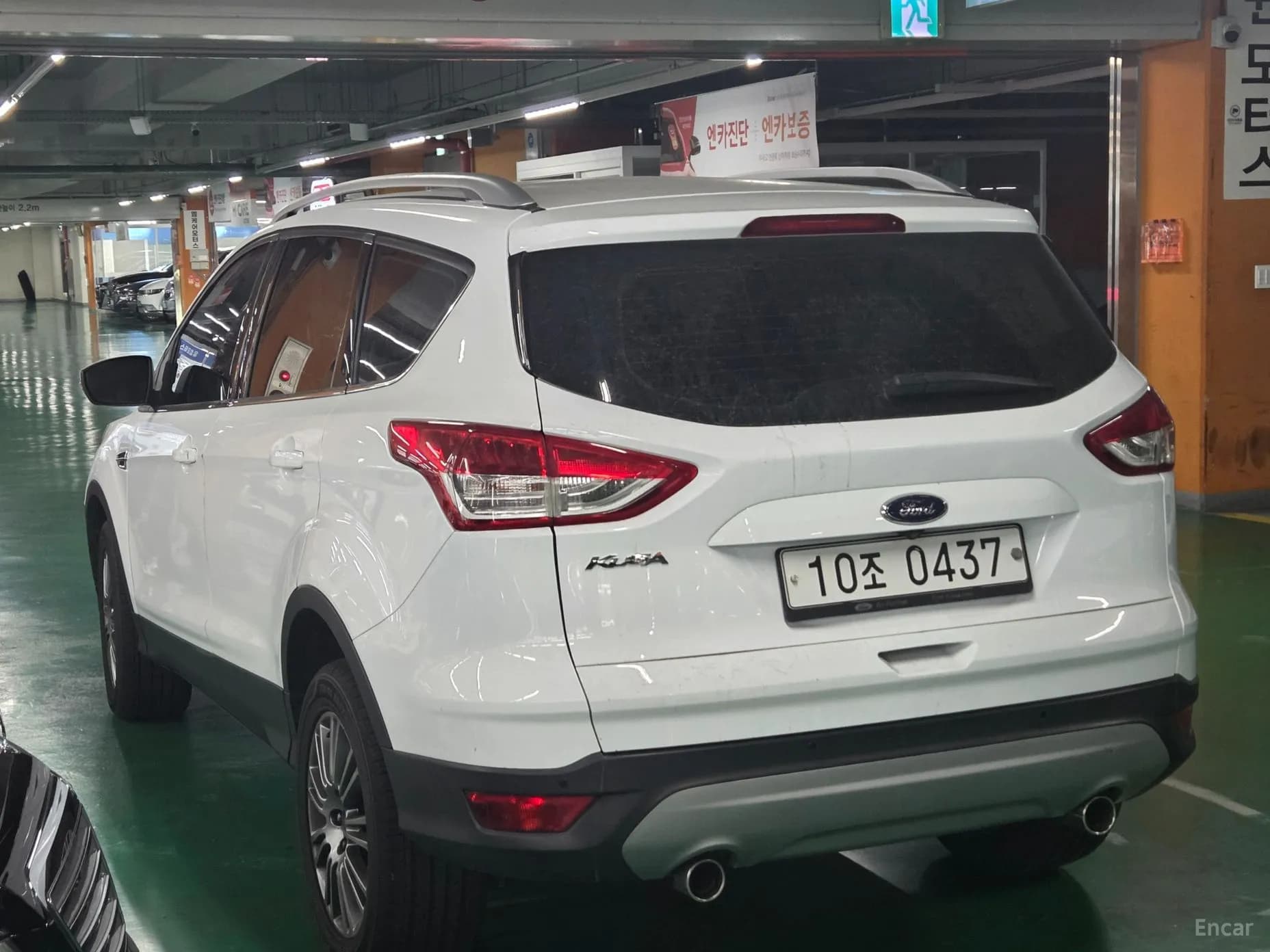 Cougar 2nd Generation