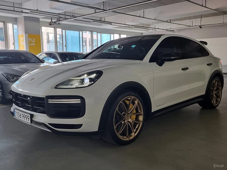 Cayenne (PO536)