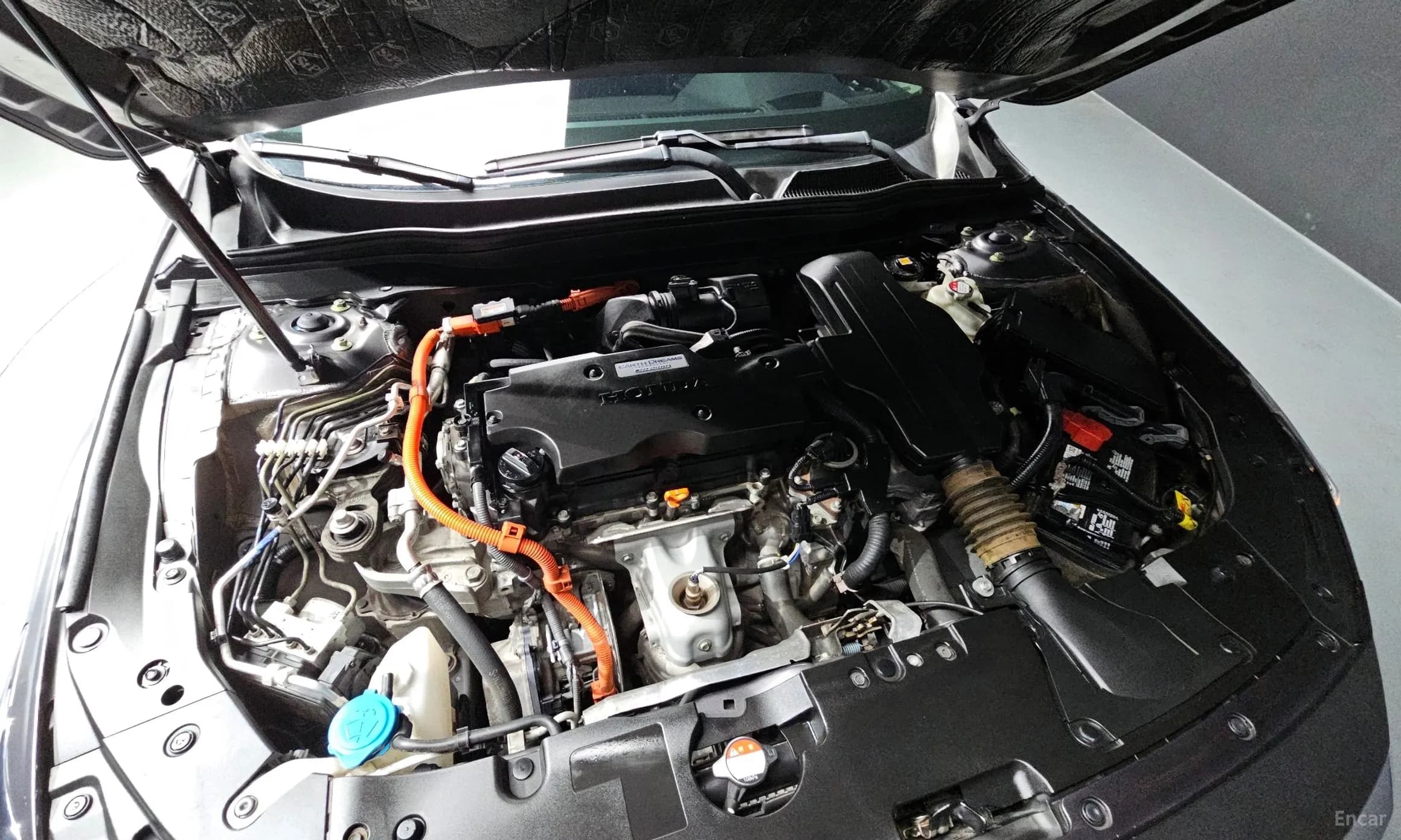 Accord 10th Generation