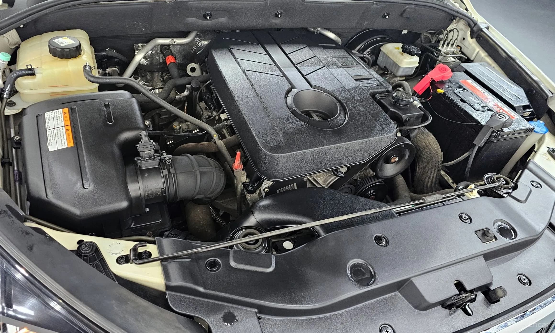 Korando Sports