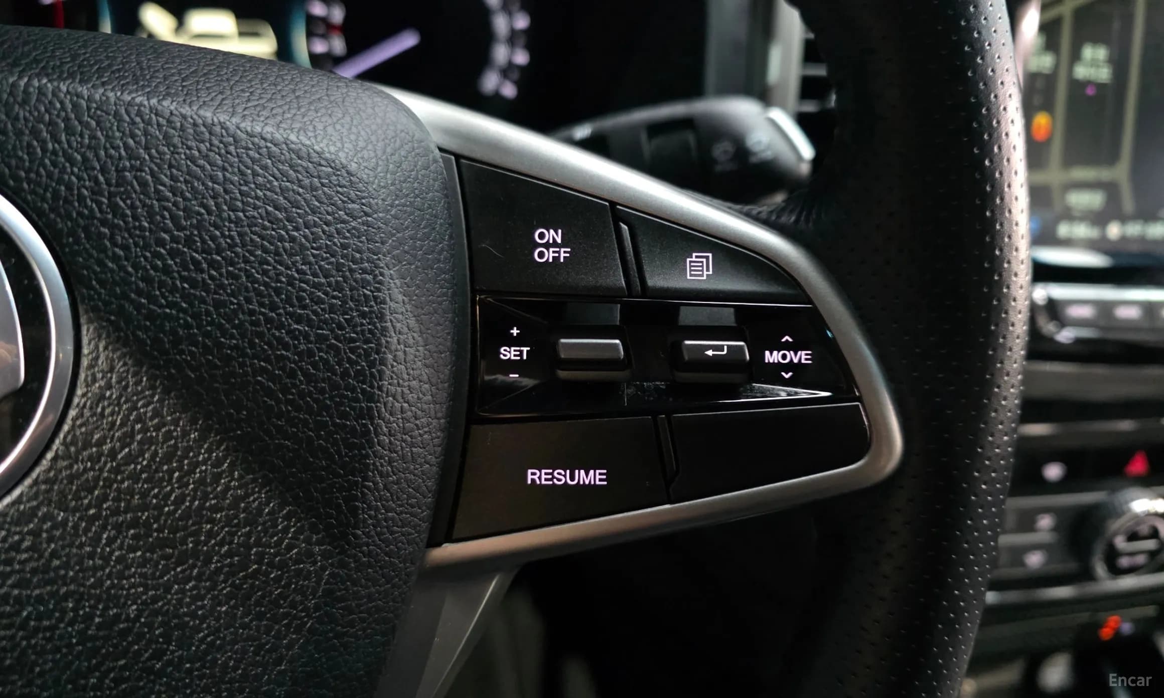 Rexton Sports