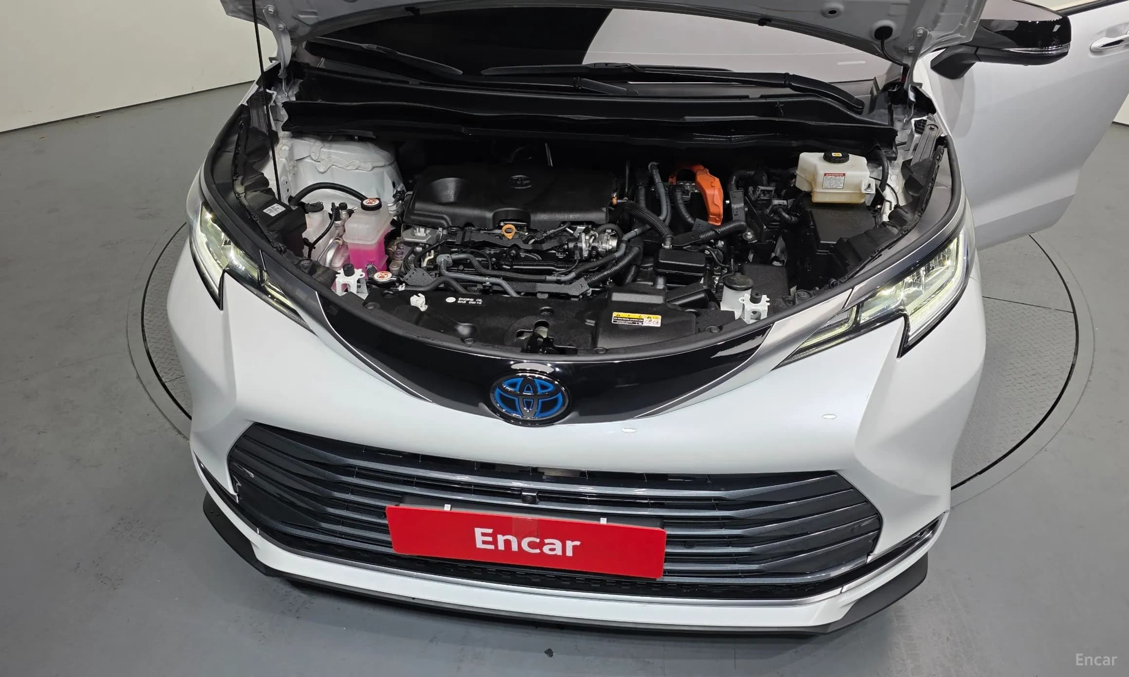 Siena 4th generation