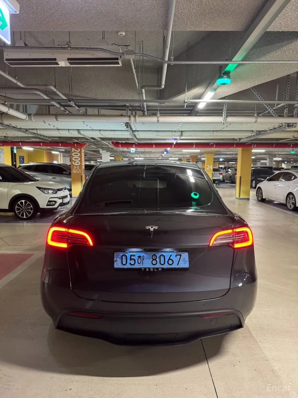Model Y