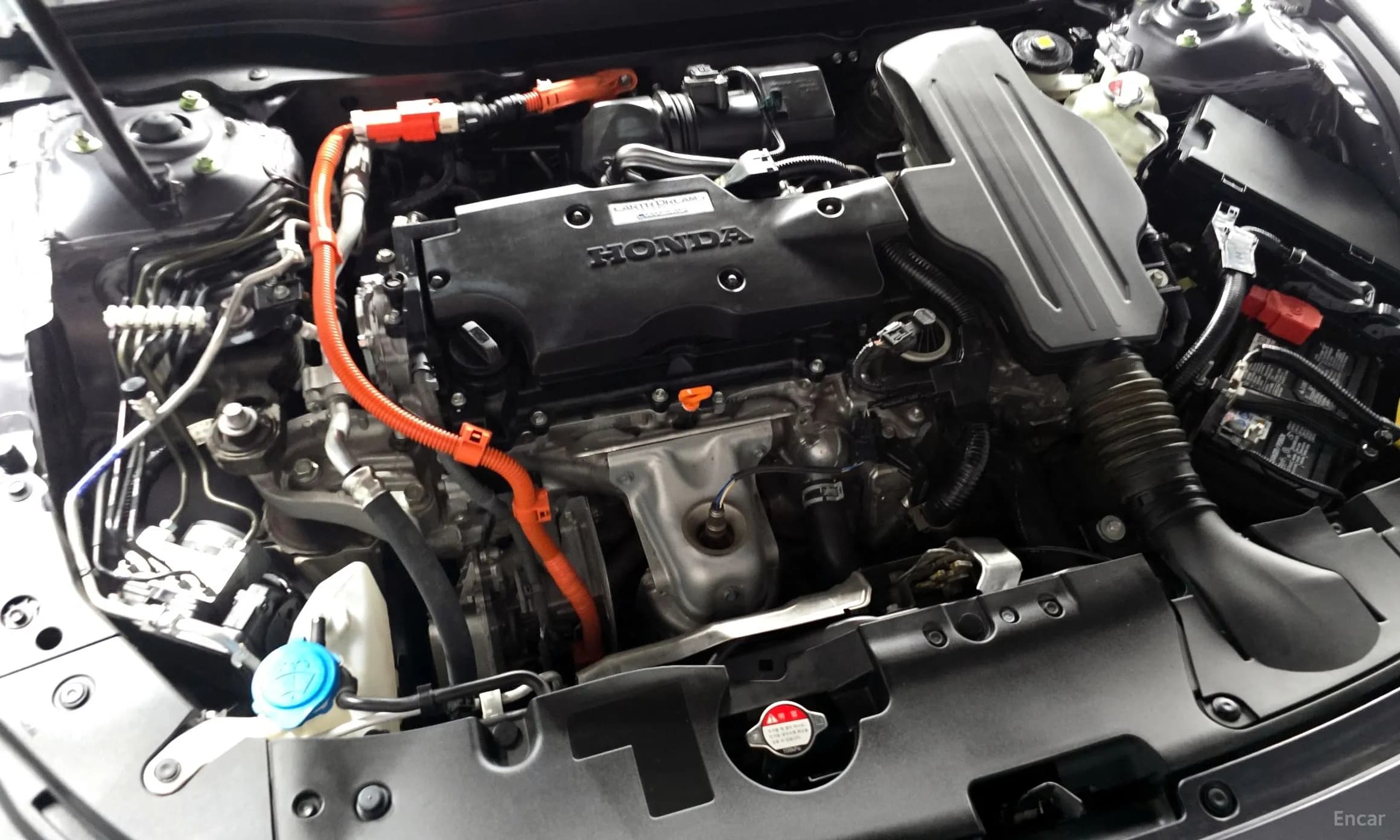 Accord 10th Generation