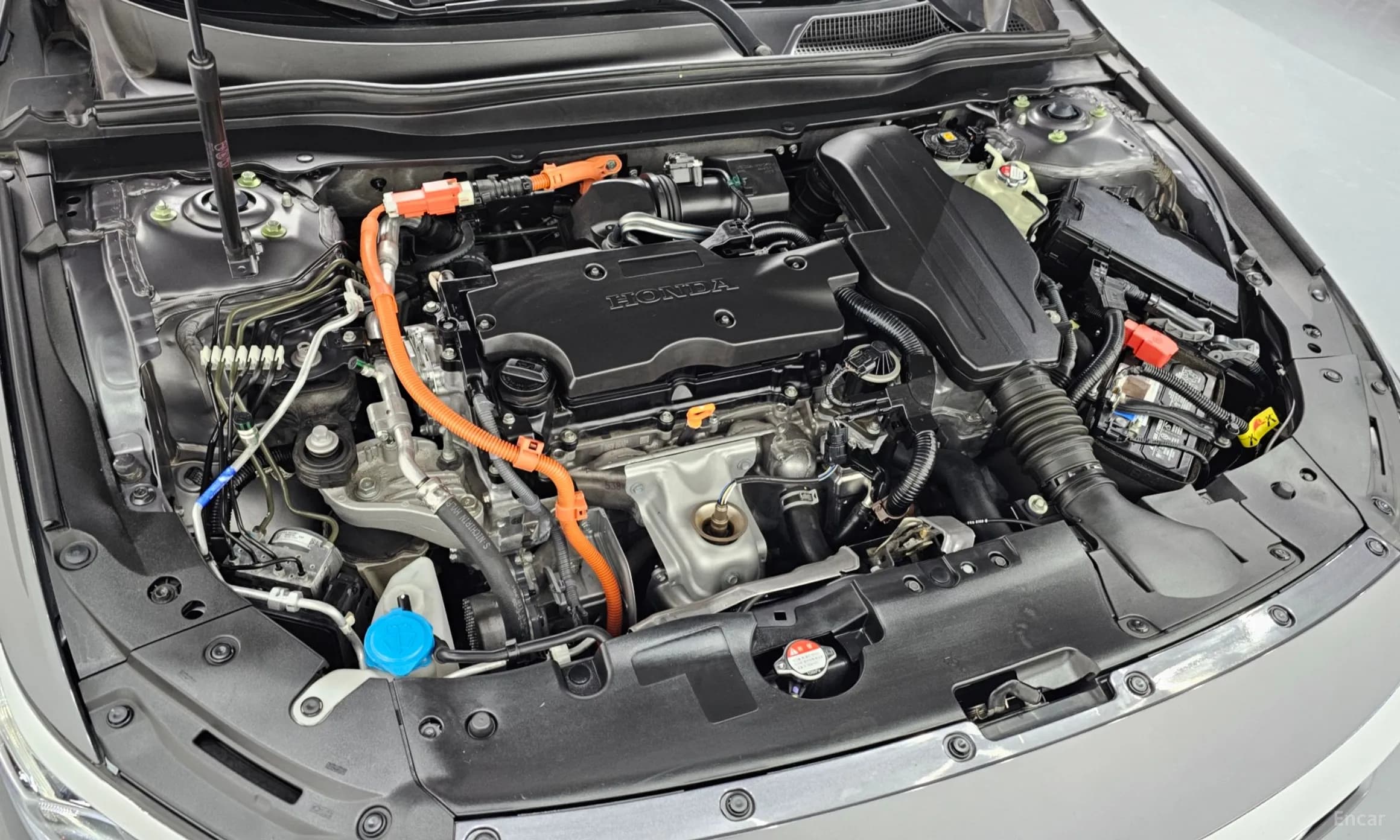 Accord 10th Generation