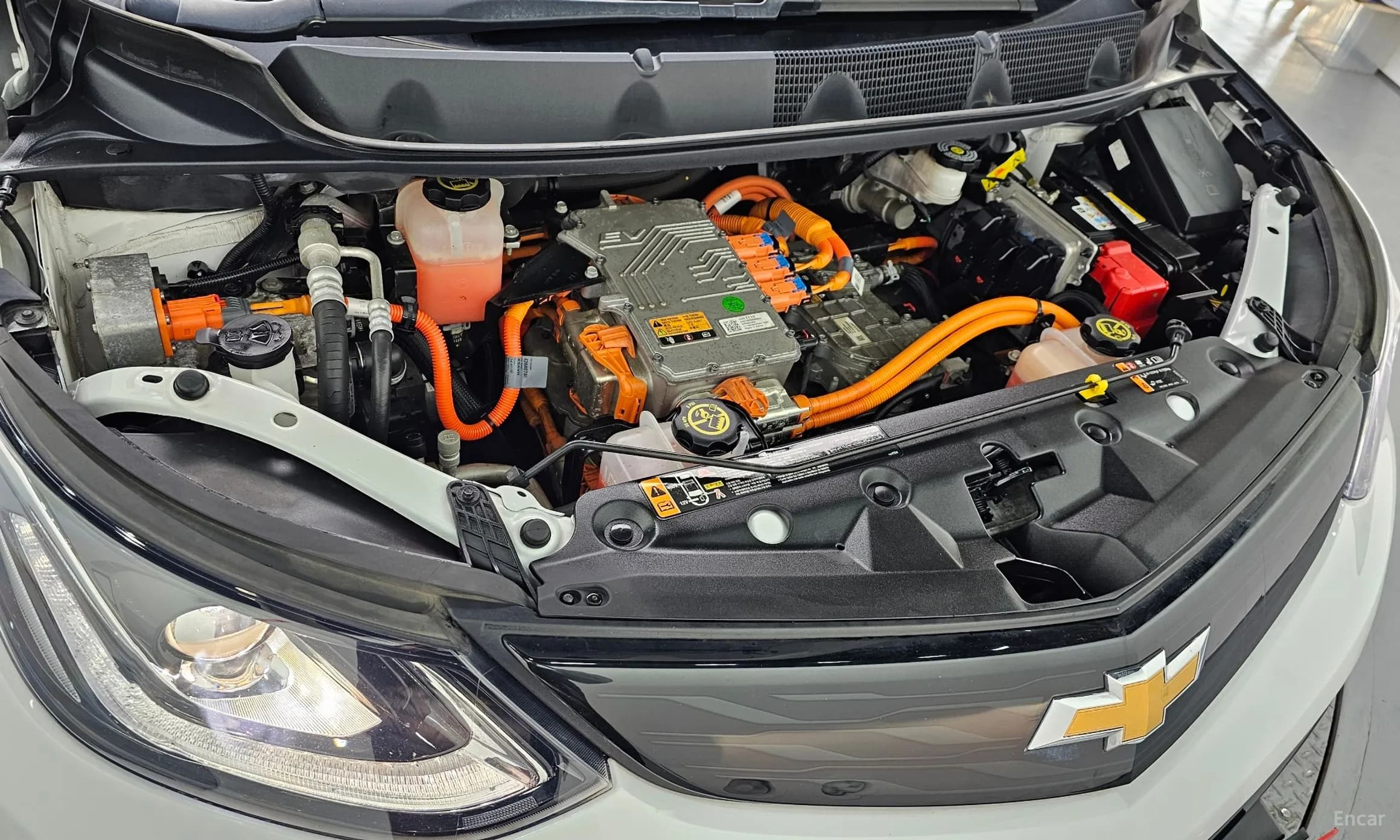 Bolt EV