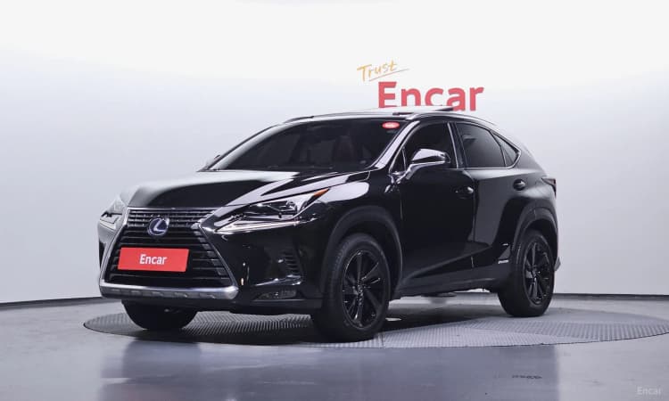 NX300h
