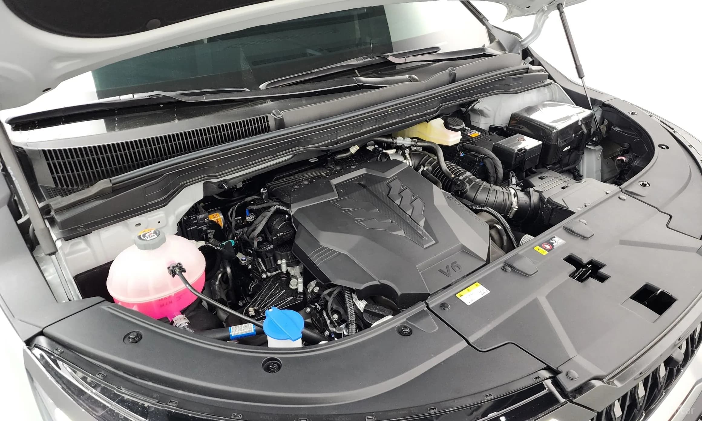 Carnival 4th Generation