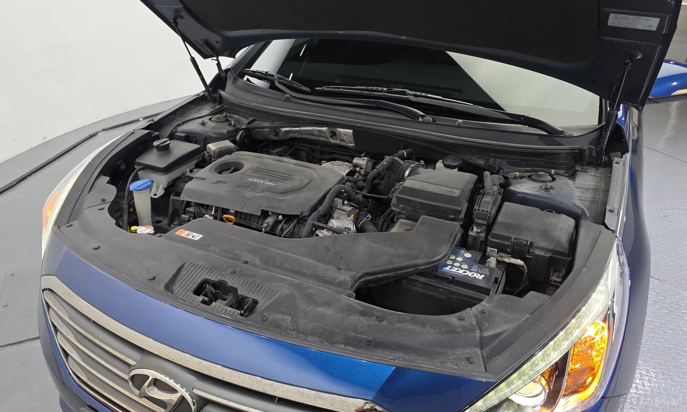 LF Sonata