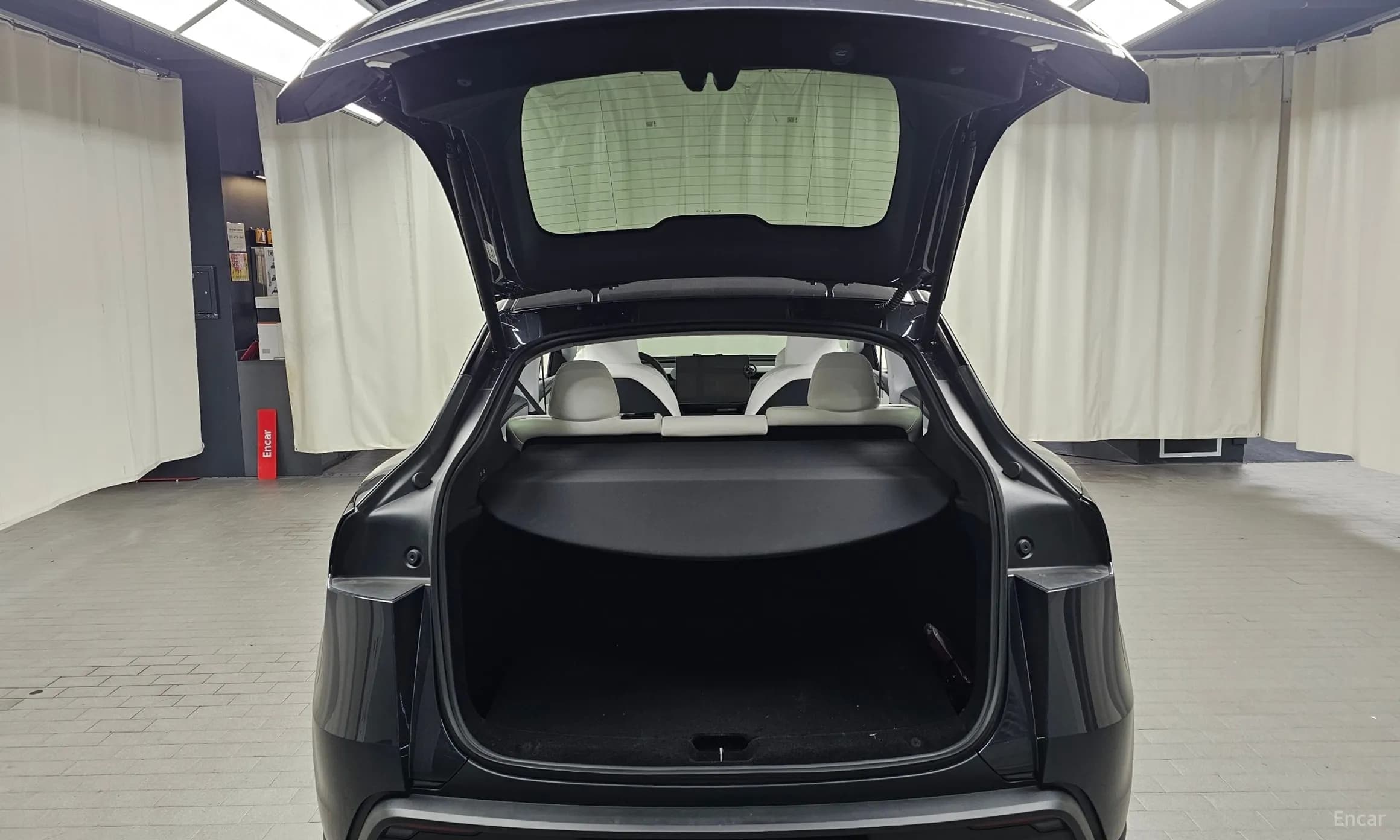 Model Y