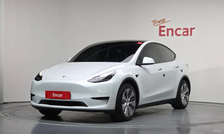 Model Y