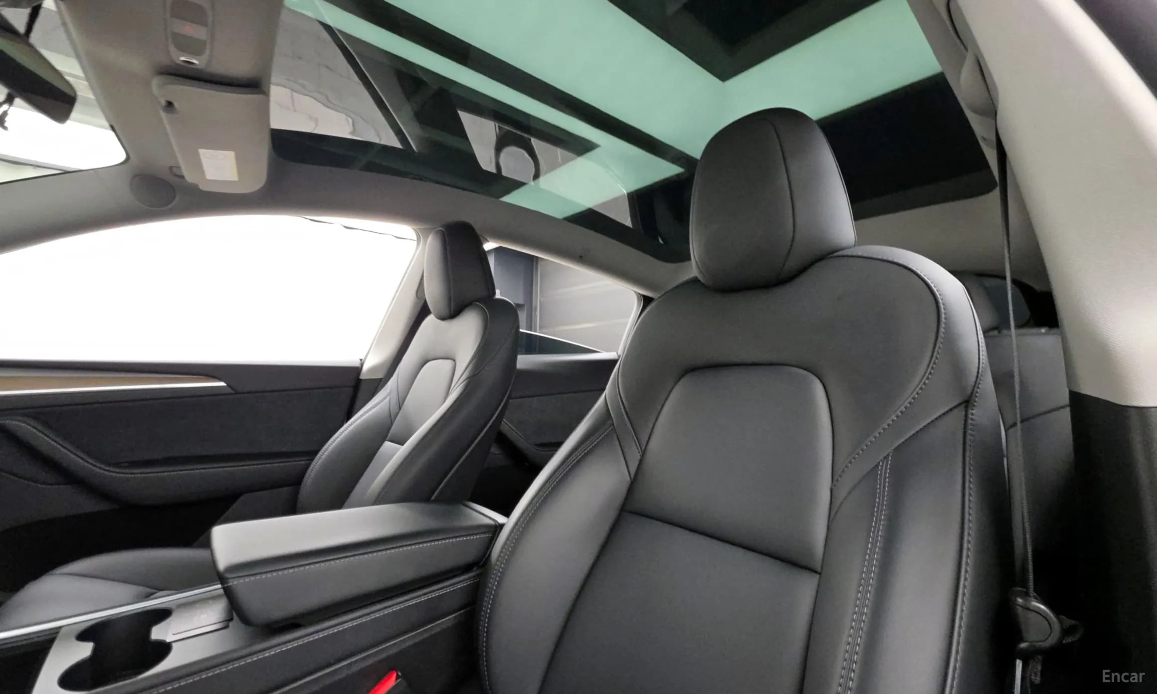 Model Y