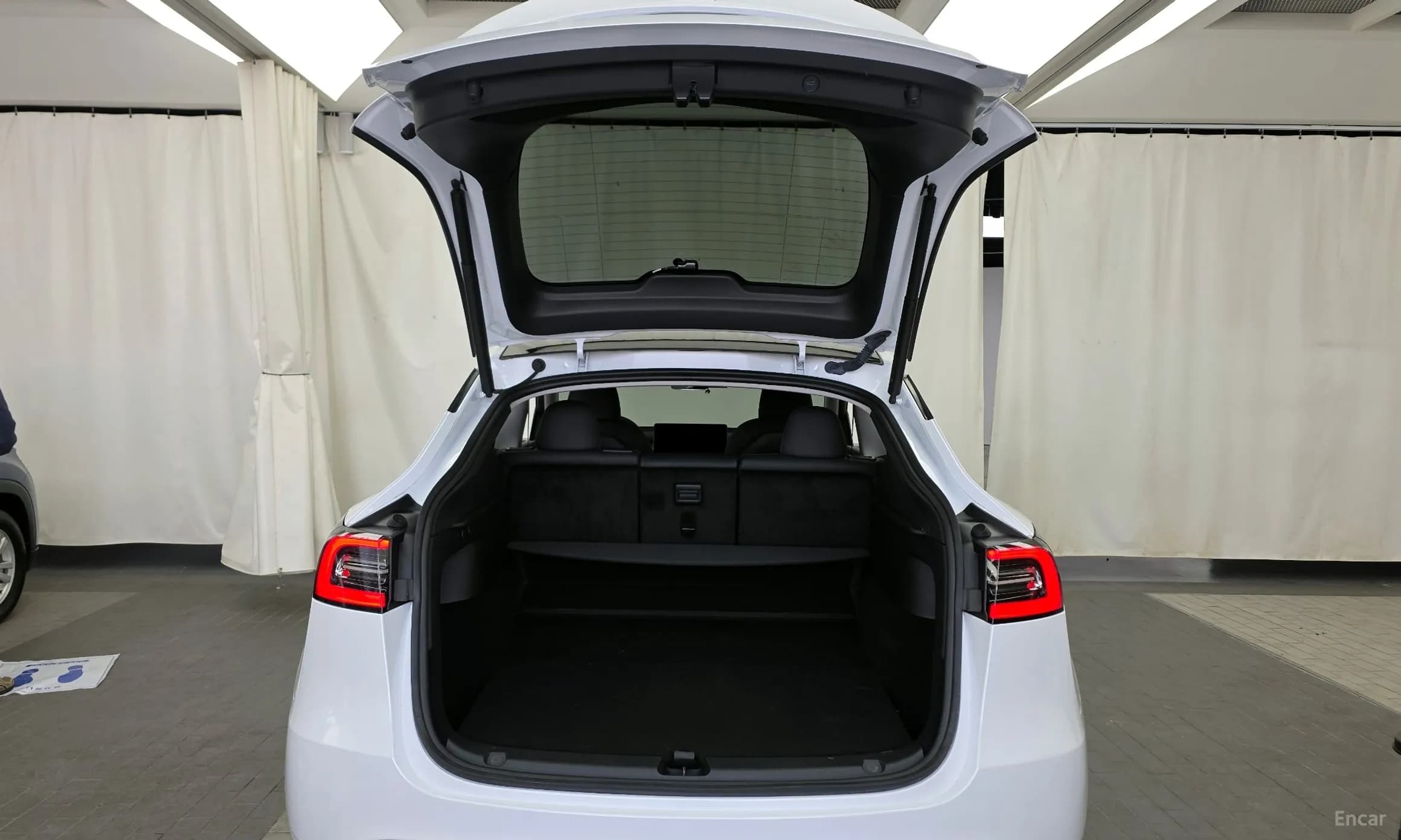Model Y