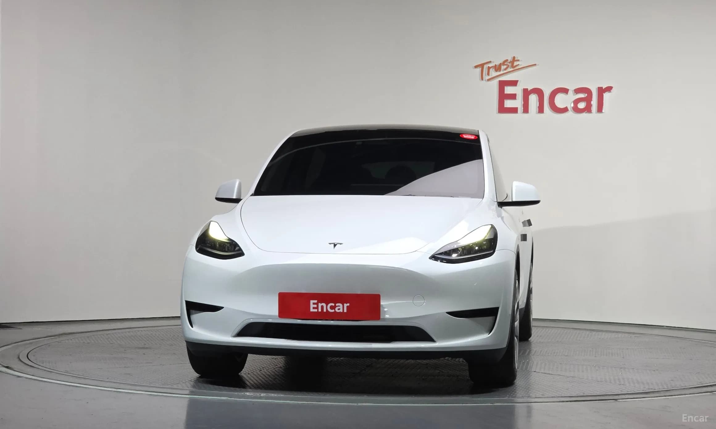 Model Y