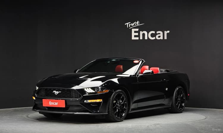 Mustang