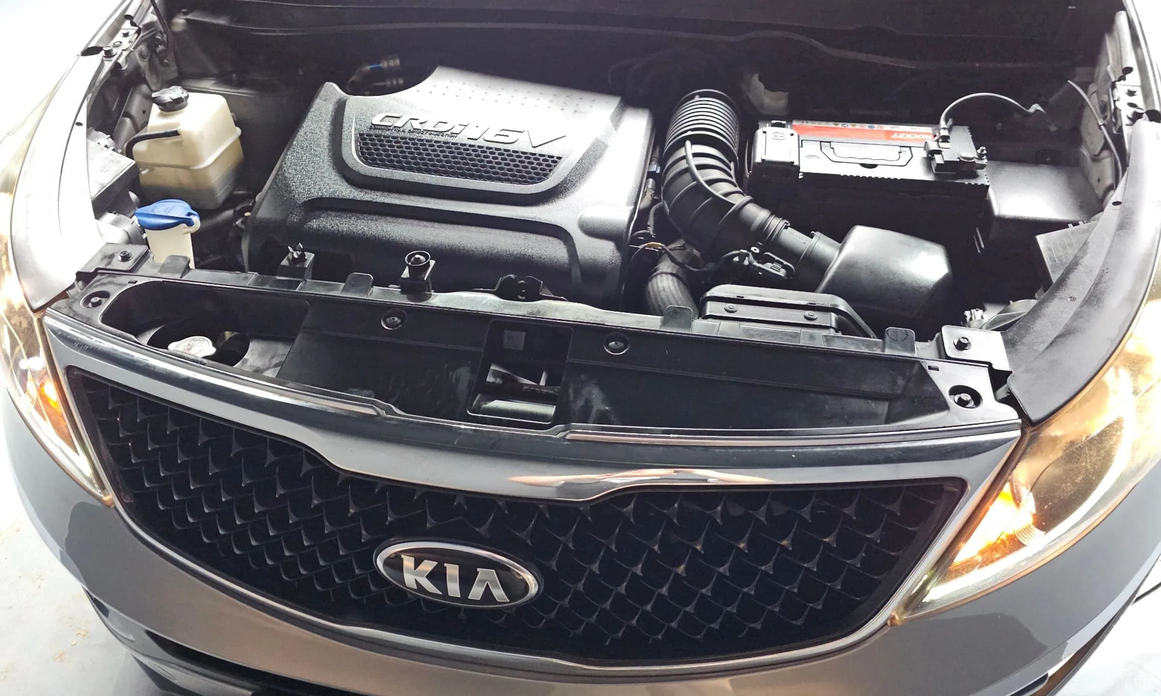 The New Sportage R