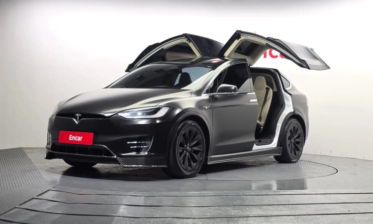 Model X