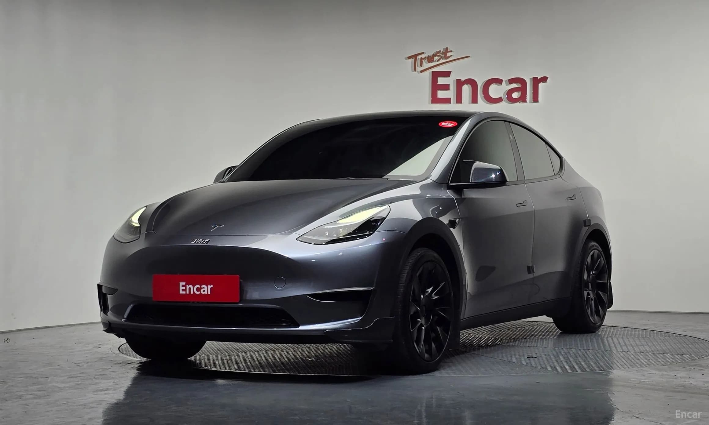 Model Y
