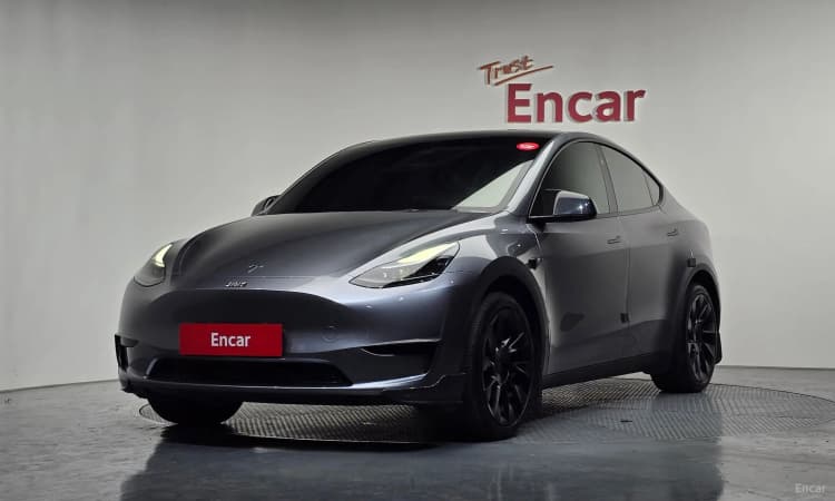 Model Y