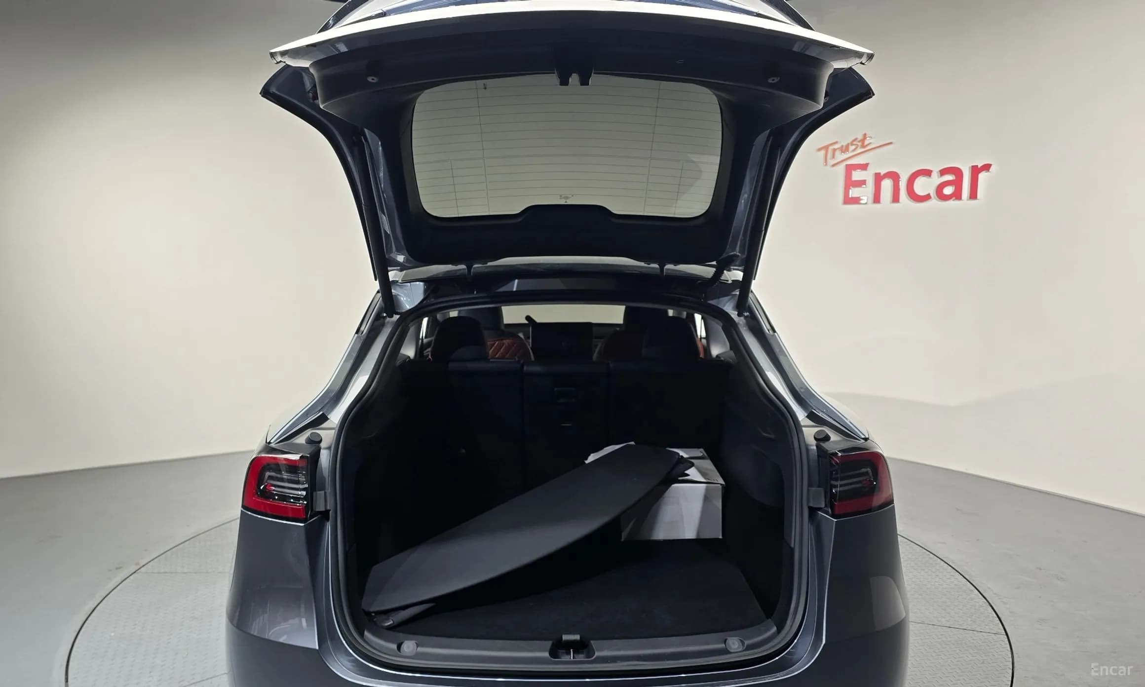 Model Y