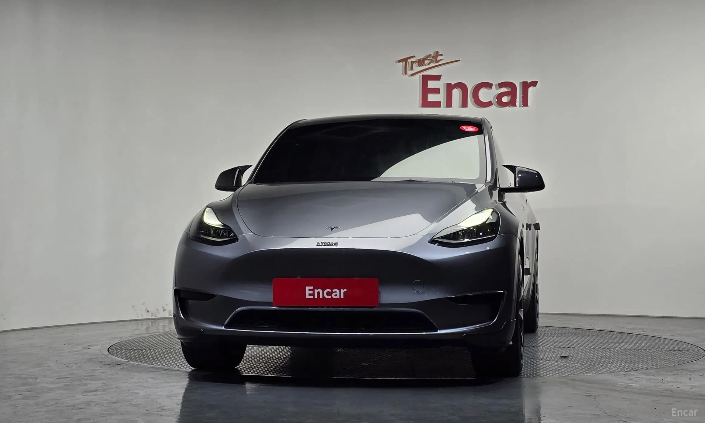 Model Y