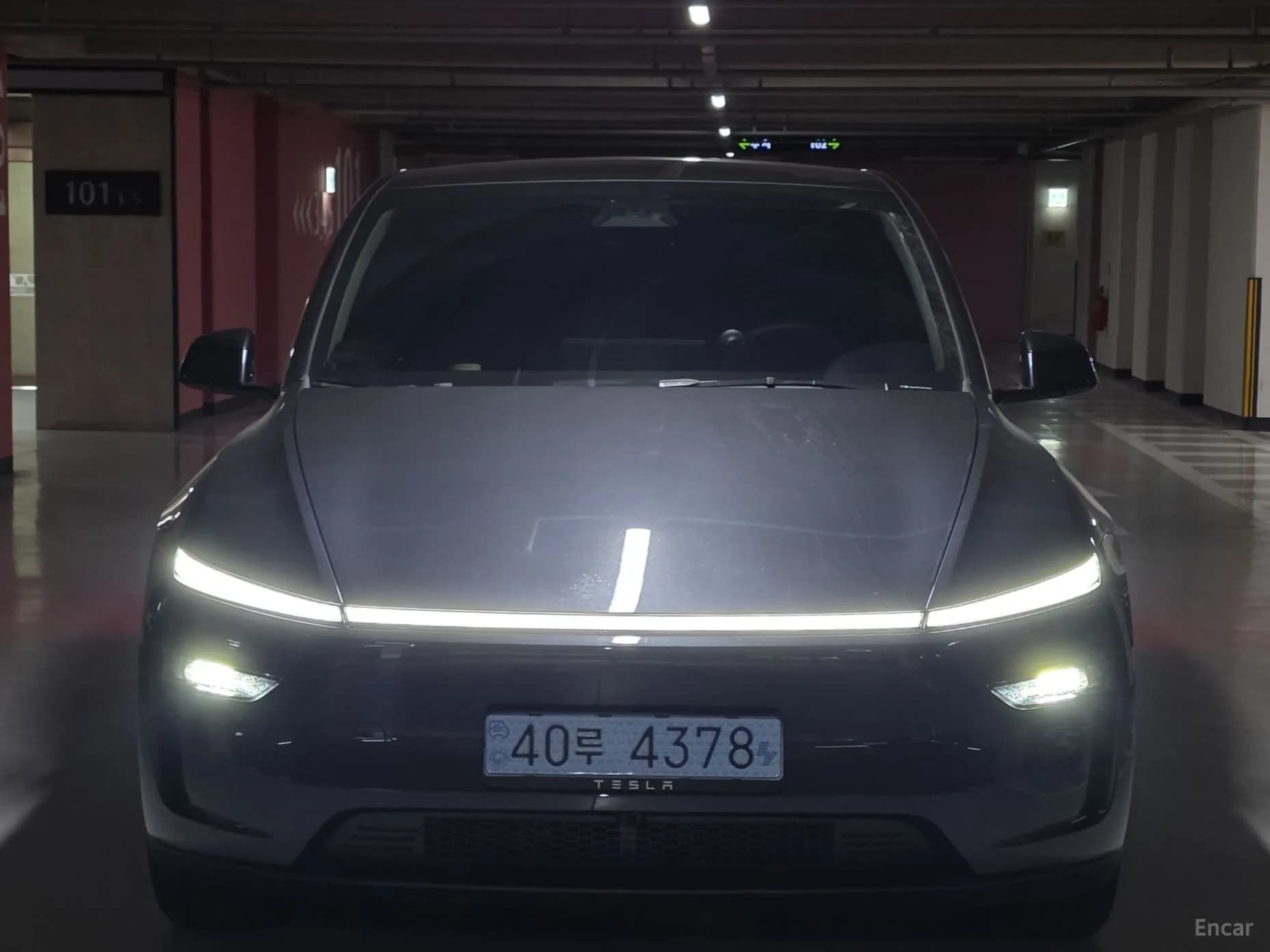 Model Y