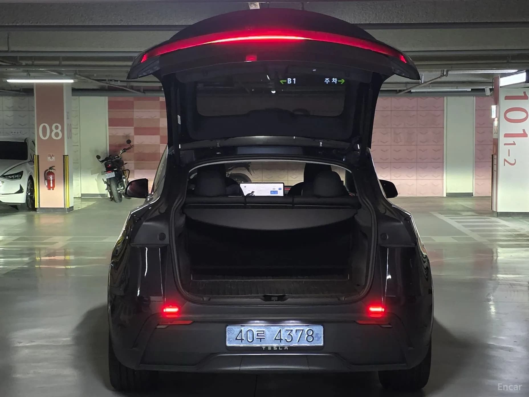 Model Y
