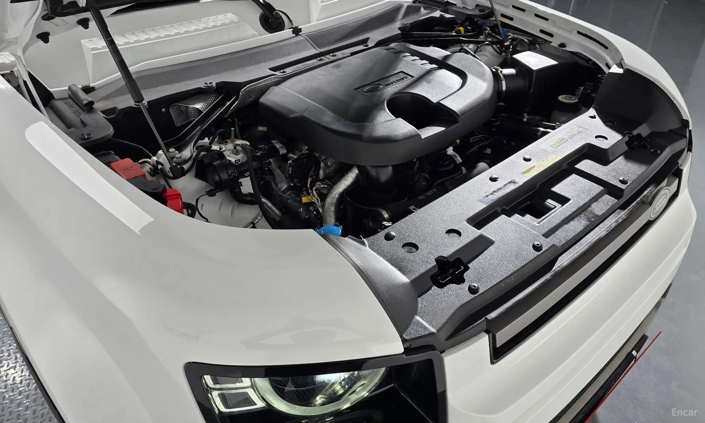 Defender (L663)