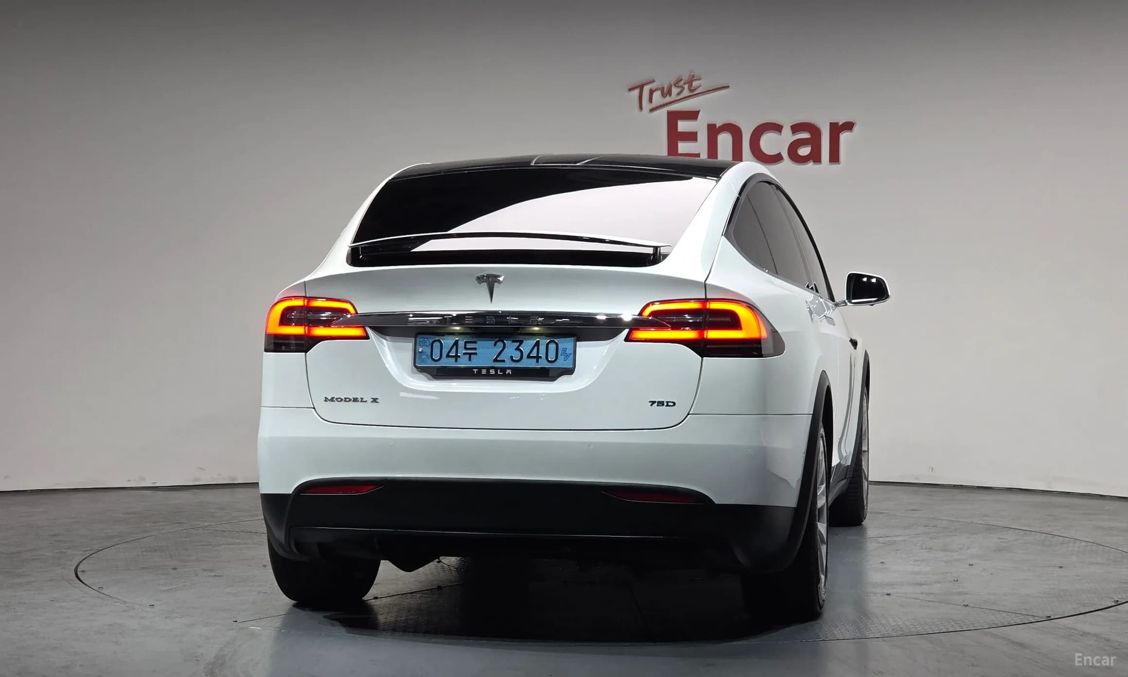 Model X