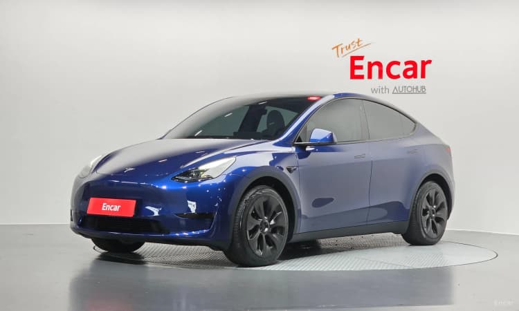 Model Y
