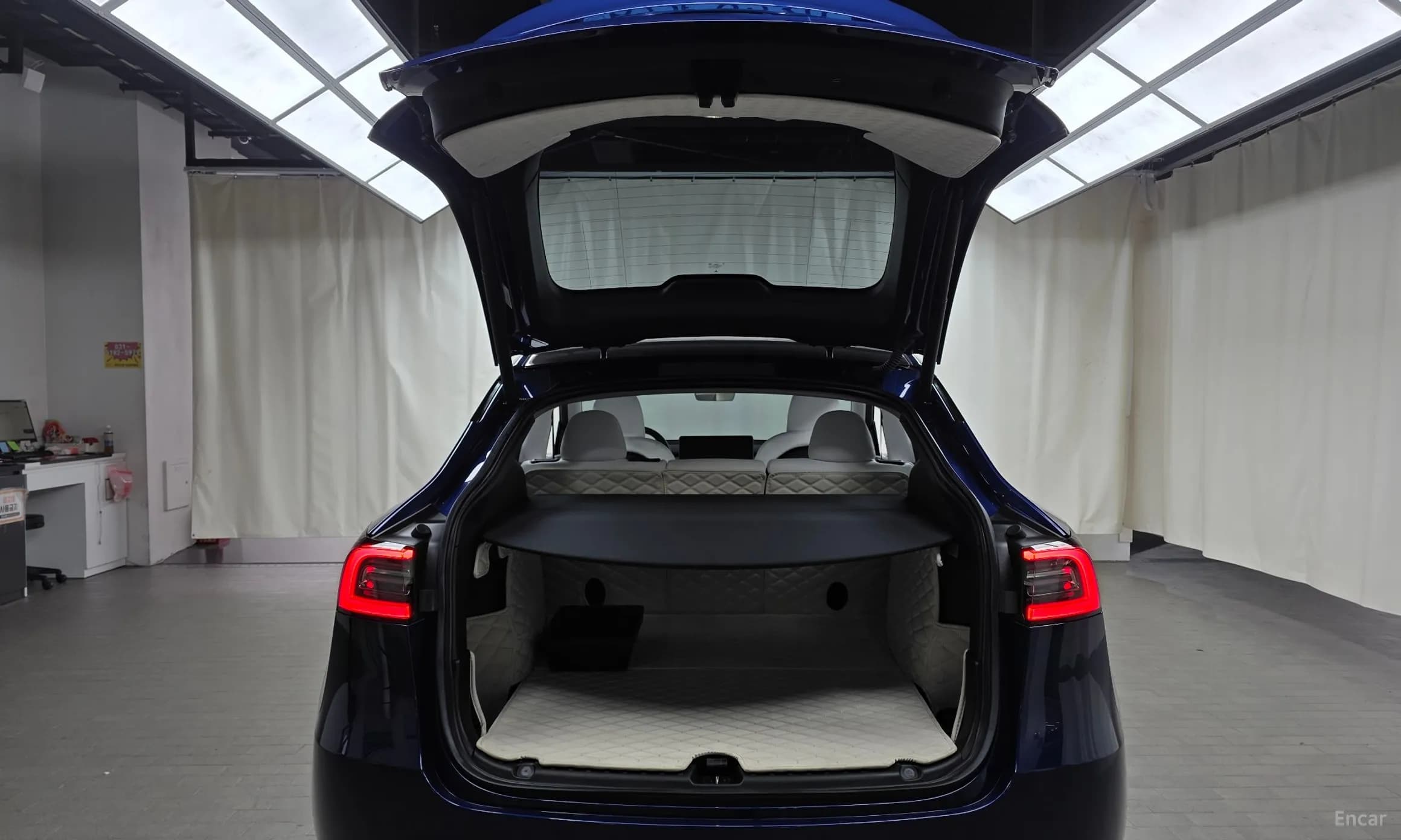 Model Y