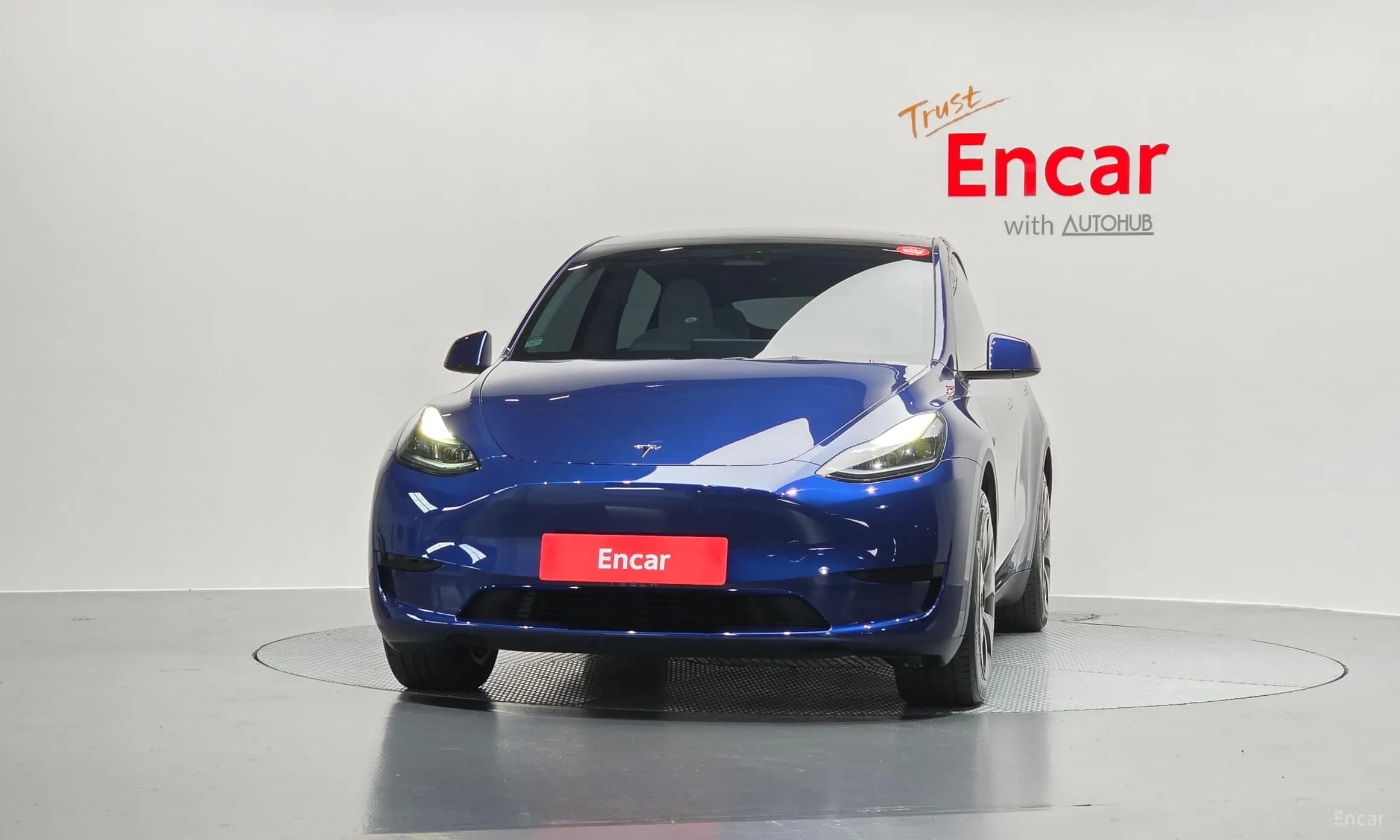 Model Y