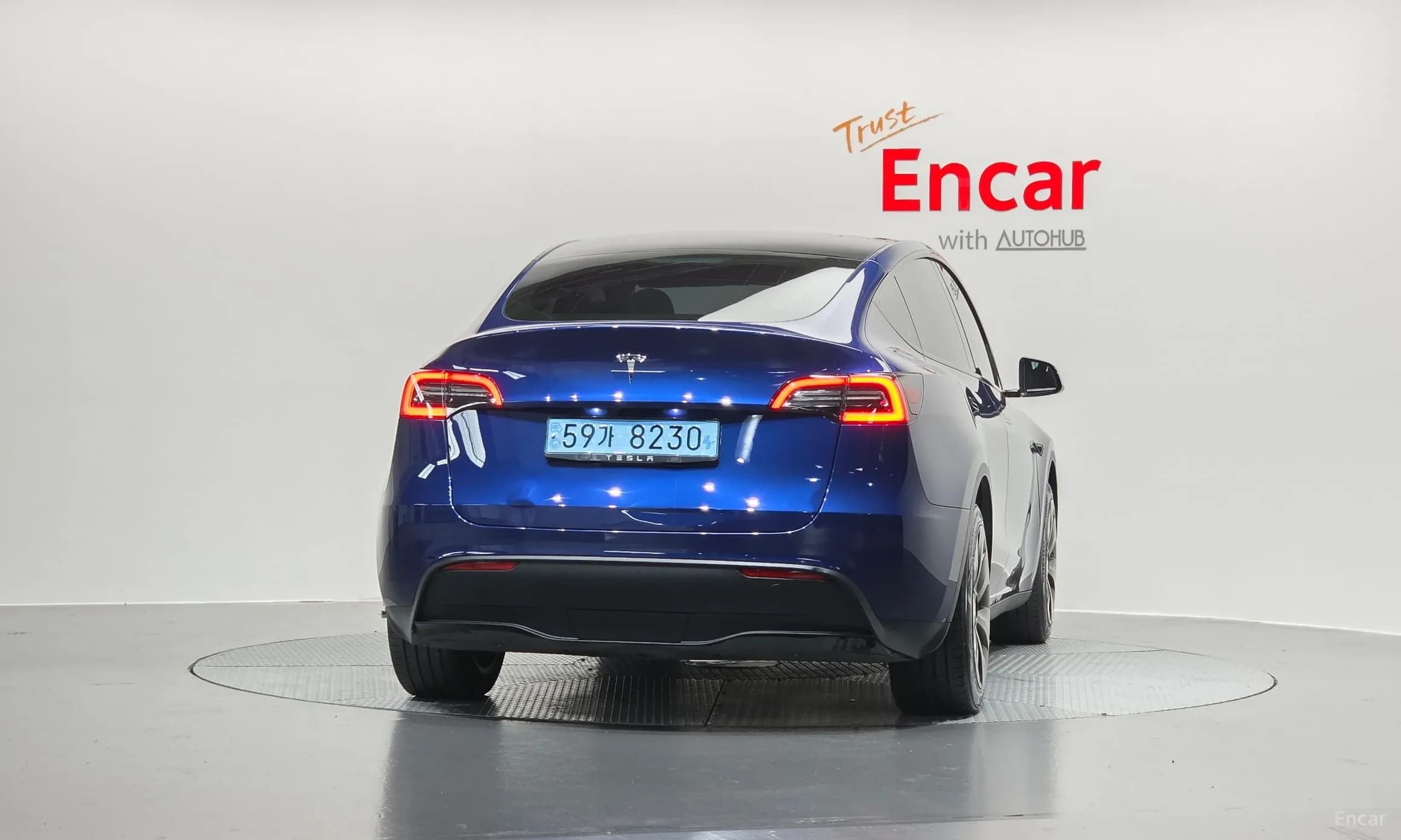 Model Y